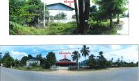 ที่ดินพร้อมสิ่งปลูกสร้างหลุดจำนอง ธ.ธนาคารกรุงไทย นครสวรรค์ บรรพตพิสัย ตาขีด