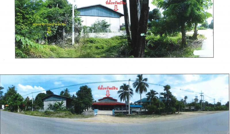 ที่ดินพร้อมสิ่งปลูกสร้างหลุดจำนอง ธ.ธนาคารกรุงไทย นครสวรรค์ บรรพตพิสัย ตาขีด