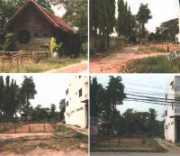 ที่ดินพร้อมสิ่งปลูกสร้างหลุดจำนอง ธ.ธนาคารกรุงไทย พิษณุโลก เมืองพิษณุโลก ในเมือง