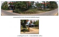 ที่ดินพร้อมสิ่งปลูกสร้างหลุดจำนอง ธ.ธนาคารกรุงไทย สงขลา เทพา ลำไพล