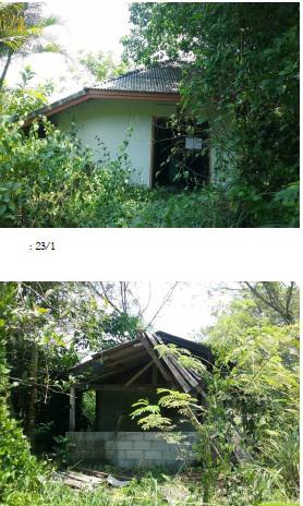 ที่ดินพร้อมสิ่งปลูกสร้างหลุดจำนอง ธ.ธนาคารกรุงไทย นครศรีธรรมราช ทุ่งสง หนองหงส์