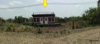 ที่ดินพร้อมสิ่งปลูกสร้างหลุดจำนอง ธ.ธนาคารกรุงไทย เพชรบูรณ์ เมืองเพชรบูรณ์ นางั่ว