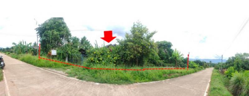 ที่ดินพร้อมสิ่งปลูกสร้างหลุดจำนอง ธ.ธนาคารออมสิน เชียงใหม่ พร้าว แม่ปั๋ง