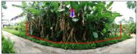 ที่ดินหลุดจำนอง ธ.ธนาคารออมสิน ชุมพร หลังสวน วังตะกอ
