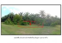 ที่ดินหลุดจำนอง ธ.ธนาคารออมสิน กระบี่ คลองท่อม คลองพน
