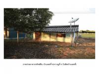 ที่ดินพร้อมสิ่งปลูกสร้างหลุดจำนอง ธ.ธนาคารออมสิน กาญจนบุรี ท่ามะกา อุโลกสี่หมื่น