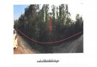 ที่ดินหลุดจำนอง ธ.ธนาคารออมสิน ลำปาง เกาะคา ลำปางหลวง