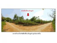 ที่ดินหลุดจำนอง ธ.ธนาคารออมสิน หนองบัวลำภู โนนสัง โนนสัง