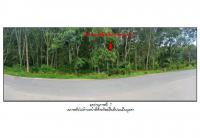 ที่ดินหลุดจำนอง ธ.ธนาคารออมสิน พัทลุง ป่าพะยอม บ้านพร้าว