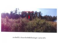 ที่ดินหลุดจำนอง ธ.ธนาคารออมสิน พะเยา ภูซาง -