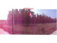 ที่ดินหลุดจำนอง ธ.ธนาคารออมสิน พะเยา ภูซาง -