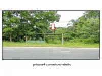 ที่ดินหลุดจำนอง ธ.ธนาคารออมสิน สุราษฎร์ธานี ท่าฉาง คลองไทร