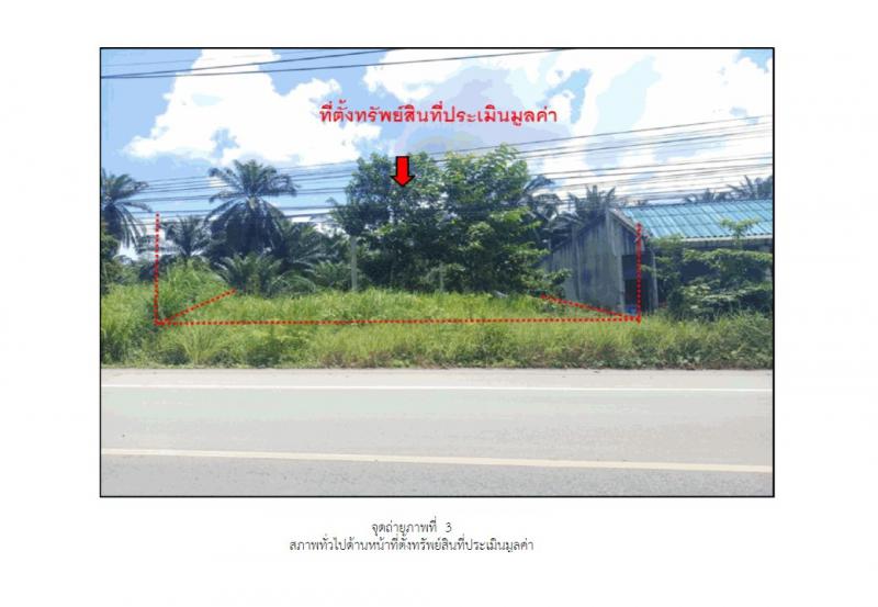 ที่ดินหลุดจำนอง ธ.ธนาคารออมสิน สตูล มะนัง -