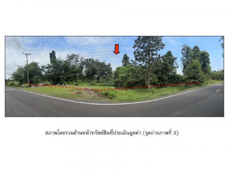 ที่ดินหลุดจำนอง ธ.ธนาคารออมสิน อุบลราชธานี พิบูลมังสาหาร โพธิ์ไทร