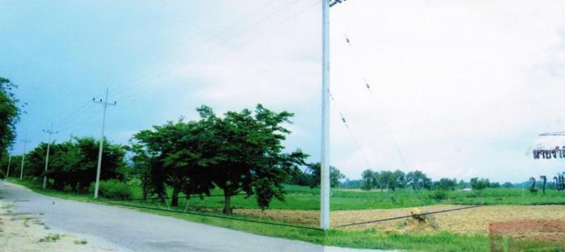 ที่ดินหลุดจำนอง ธ.ธนาคารอาคารสงเคราะห์ กาญจนบุรี เมืองกาญจนบุรี เกาะสำโรง
