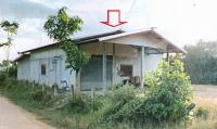 บ้านเดี่ยวหลุดจำนอง ธ.ธนาคารอาคารสงเคราะห์ อุดรธานี วังสามหมอ วังสามหมอ
