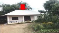 บ้านเดี่ยวหลุดจำนอง ธ.ธนาคารอาคารสงเคราะห์ เลย เมืองเลย ชัยพฤกษ์