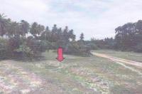 ที่ดินหลุดจำนอง ธ.ธนาคารอาคารสงเคราะห์ ปัตตานี ไม้แก่น ดอนทราย