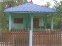 บ้านเดี่ยวหลุดจำนอง ธ.ธนาคารอาคารสงเคราะห์ พิษณุโลก เมืองพิษณุโลก บ้านป่า