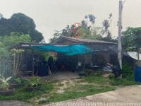 บ้านเดี่ยวหลุดจำนอง ธ.ธนาคารอาคารสงเคราะห์ ชุมพร เมืองชุมพร วังไผ่