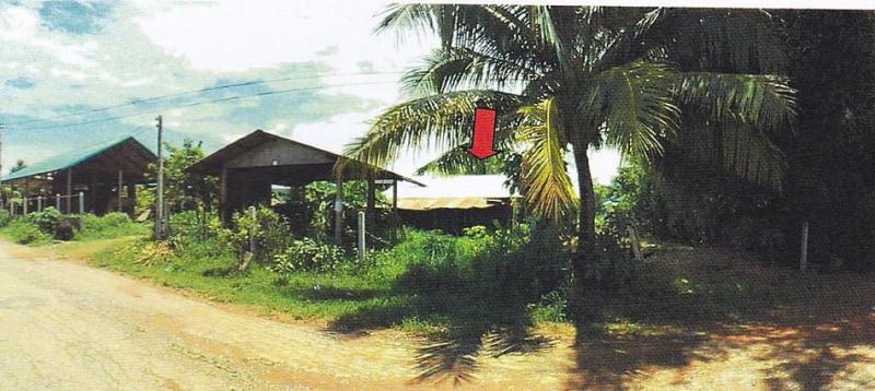 บ้านเดี่ยวหลุดจำนอง ธ.ธนาคารอาคารสงเคราะห์ ขอนแก่น ชุมแพ ขัวเรียง