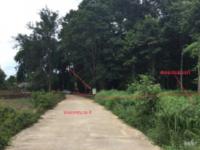 ที่ดินว่างเปล่าหลุดจำนอง ธ.ธนาคารกสิกรไทย นครสวรรค์ ลาดยาว ศาลเจ้าไก่ต่อ