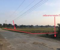 ที่ดินว่างเปล่าหลุดจำนอง ธ.ธนาคารกสิกรไทย นครสวรรค์ ลาดยาว หนองนมวัว