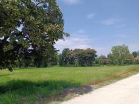 ที่ดินว่างเปล่าหลุดจำนอง ธ.ธนาคารกสิกรไทย นครราชสีมา สูงเนิน สูงเนิน