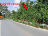 ที่ดินว่างเปล่าหลุดจำนอง ธ.ธนาคารกสิกรไทย กระบี่ เมืองกระบี่ หนองทะเล