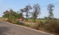 ที่ดินว่างเปล่าหลุดจำนอง ธ.ธนาคารกสิกรไทย นครพนม ธาตุพนม พระกลางทุ่ง