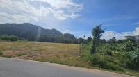 ที่ดินว่างเปล่าหลุดจำนอง ธ.ธนาคารกสิกรไทย นครศรีธรรมราช ทุ่งสง ปากแพรก