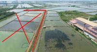 ที่ดินว่างเปล่าหลุดจำนอง ธ.ธนาคารกสิกรไทย สมุทรสาคร เมืองสมุทรสาคร กาหลง
