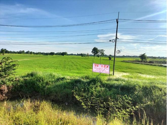 ที่ดินว่างเปล่าหลุดจำนอง ธ.ธนาคารกสิกรไทย พิจิตร วังทรายพูน หนองปลาไหล