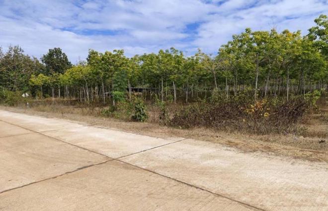 ที่ดินว่างเปล่าหลุดจำนอง ธ.ธนาคารกสิกรไทย สกลนคร วานรนิวาส ศรีวิชัย