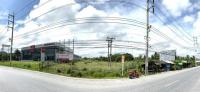 ที่ดินว่างเปล่าหลุดจำนอง ธ.ธนาคารกสิกรไทย ปัตตานี หนองจิก ดอนรัก