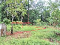 ที่ดินว่างเปล่าหลุดจำนอง ธ.ธนาคารกสิกรไทย ตรัง ย่านตาขาว ย่านตาขาว