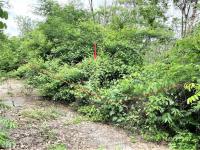 ที่ดินว่างเปล่าหลุดจำนอง ธ.ธนาคารกสิกรไทย ราชบุรี จอมบึง เบิกไพร