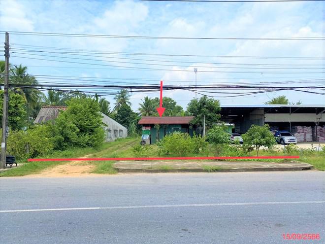 ที่ดินว่างเปล่าหลุดจำนอง ธ.ธนาคารกสิกรไทย สงขลา รัตภูมิ กำแพงเพชร