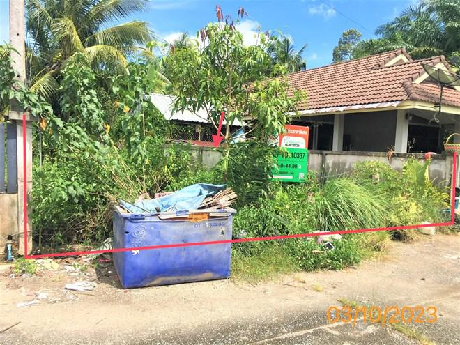 ที่ดินว่างเปล่าหลุดจำนอง ธ.ธนาคารกสิกรไทย กระบี่ เหนือคลอง คลองเขม้า