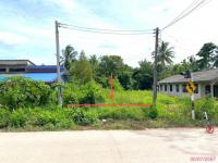 ที่ดินว่างเปล่าหลุดจำนอง ธ.ธนาคารกสิกรไทย พัทลุง ป่าบอน ทุ่งนารี