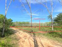ที่ดินว่างเปล่าหลุดจำนอง ธ.ธนาคารกสิกรไทย พัทลุง เขาชัยสน ควนขนุน