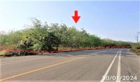 ที่ดินว่างเปล่าหลุดจำนอง ธ.ธนาคารกสิกรไทย บึงกาฬ เซกา ท่าสะอาด