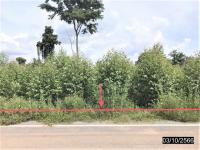 ที่ดินว่างเปล่าหลุดจำนอง ธ.ธนาคารกสิกรไทย กาฬสินธุ์ เมืองกาฬสินธุ์ ลำคลอง