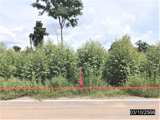 ที่ดินว่างเปล่าหลุดจำนอง ธ.ธนาคารกสิกรไทย กาฬสินธุ์ เมืองกาฬสินธุ์ ลำคลอง