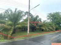 ที่ดินว่างเปล่าหลุดจำนอง ธ.ธนาคารกสิกรไทย นครศรีธรรมราช ฉวาง ฉวาง