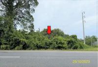 ที่ดินว่างเปล่าหลุดจำนอง ธ.ธนาคารกสิกรไทย ปัตตานี ปะนาเระ ดอน