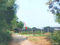 ที่ดินว่างเปล่าหลุดจำนอง ธ.ธนาคารกสิกรไทย อ่างทอง ป่าโมก เอกราช