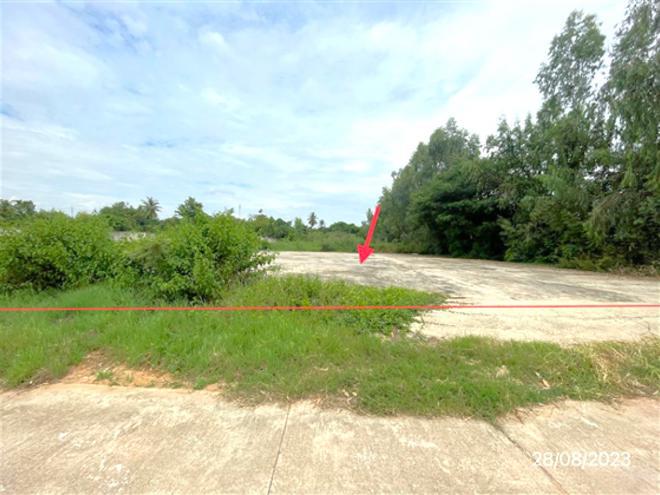 ที่ดินว่างเปล่าหลุดจำนอง ธ.ธนาคารกสิกรไทย พิษณุโลก เมืองพิษณุโลก บ้านป่า