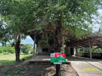บ้านเดี่ยวหลุดจำนอง ธ.ธนาคารกสิกรไทย อุบลราชธานี เดชอุดม เมืองเดช