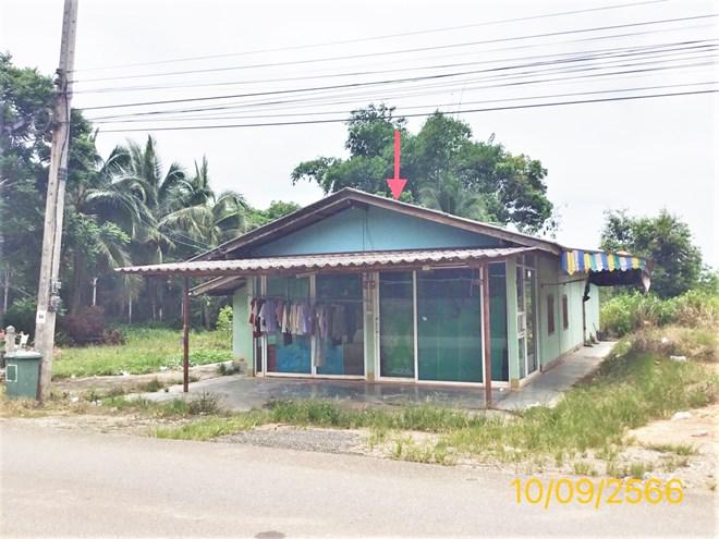 บ้านเดี่ยวหลุดจำนอง ธ.ธนาคารกสิกรไทย สุราษฎร์ธานี พุนพิน บางมะเดื่อ